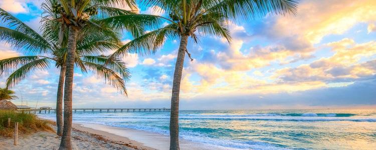 Dania Beach is a city in Broward County, Florida