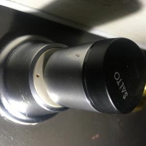 4A795FD9-C41C-4442-BCBB-AE9502D52F41